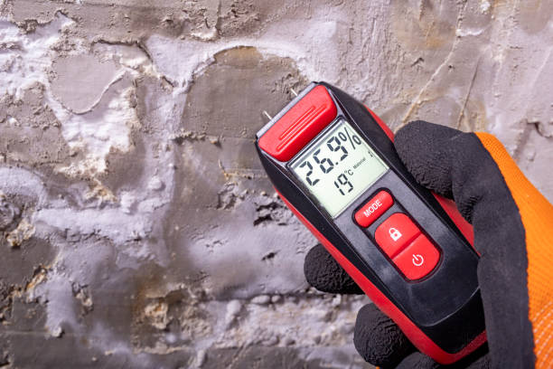 Best Certified Mold Removal  in Santa Rosa, CA